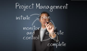 Project Program and PMO Consulting